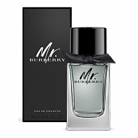 Burberry Mr. Burberry Eau de Toilette